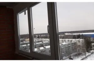 2_1619076576